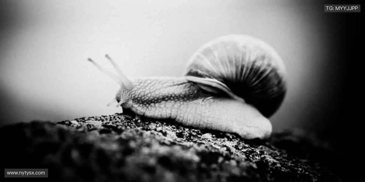 📺高清直播，一键解锁赛场心跳！💥👥